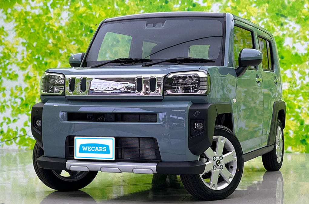 タフトが人気な3つの理由